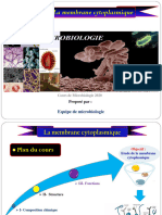 Chap Membrane Cytoplasmique Et Cytoplasme