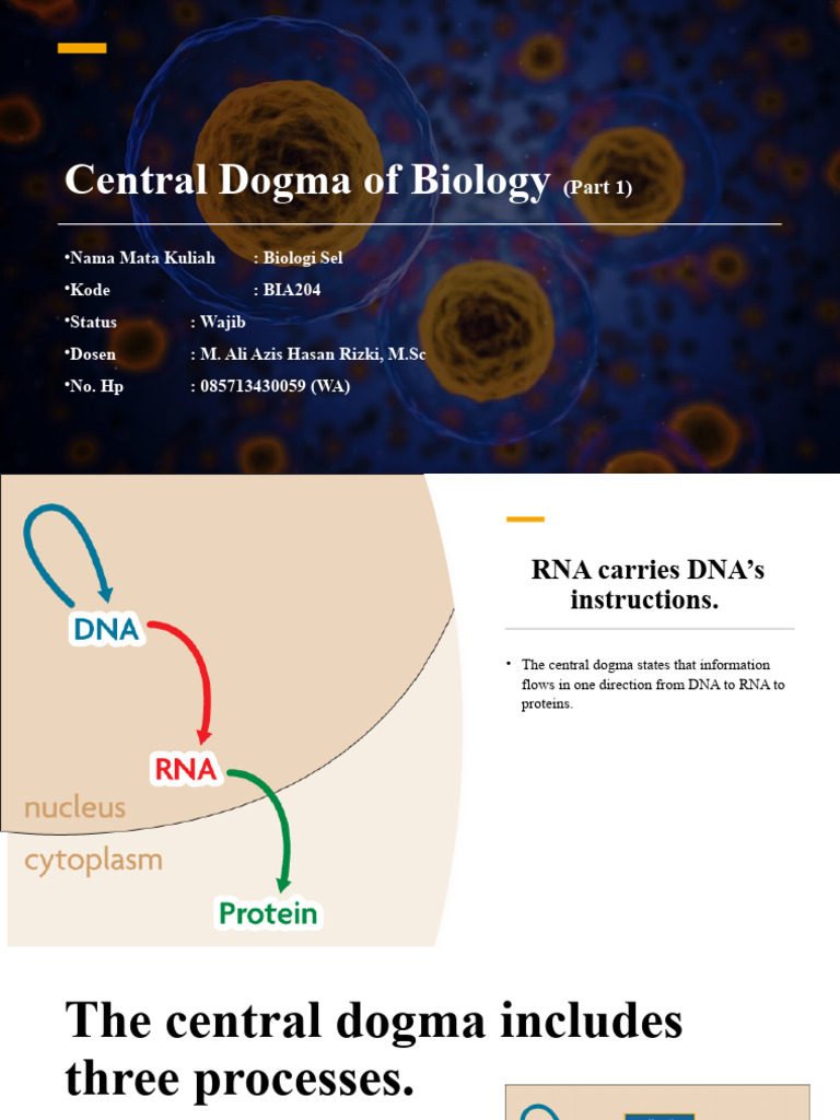 Dogma Central Biology Pertemuan 4 | PDF | Rna | Dna