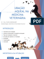 Intubação Orotraqueal Na Medicina Veterinária