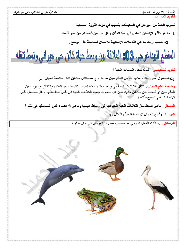 ا ةور> ا تو ' ب ت ط ا ' ر او ا ن ط 