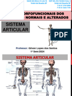 Sistema Articular 