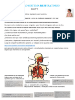 Nuestro Sistema Respiratorio 1