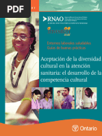 Guias de La RNAO | PDF | Enfermería | Cuidado de la salud