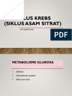 Kuliah v. Siklus Asam Sitrat