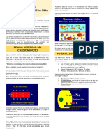 Propiedades Electrofisiológicas de La Fibra Cardiaca
