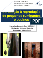 Introdução À Reprodução de Pequenos Ruminantes e Equinos - VF