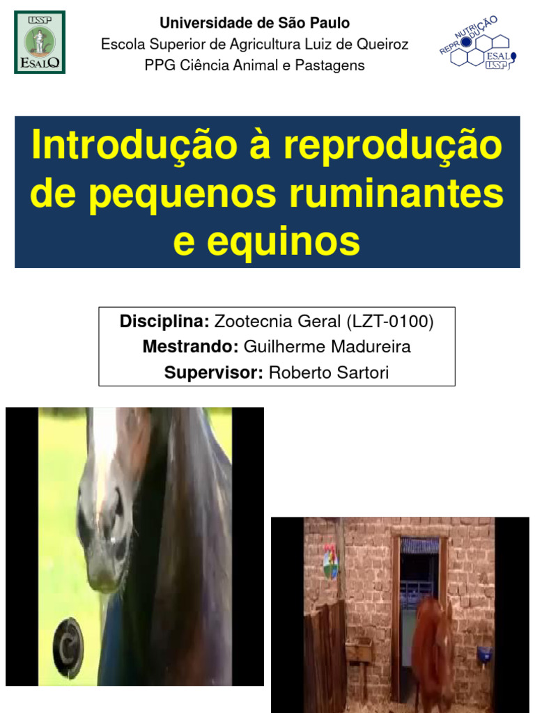Reprodução de Pequenos Ruminantes e Equinos | PDF | Bode | Mamíferos