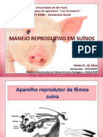 Manejo Reprodutivo Suínos