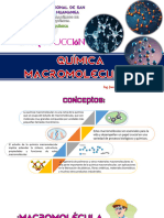 Introduccion Qjuimica Macromolecular