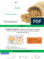 Aula 2 - Formação e Estrutura Da Semente 2024