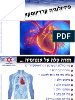 ‎⁨פיזיולוגיה לב וכלד⁩