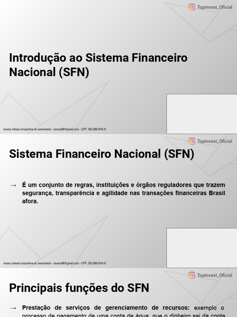 cpa-20-m01a01-introdu-o-ao-sistema-financeiro-nacional-pdf