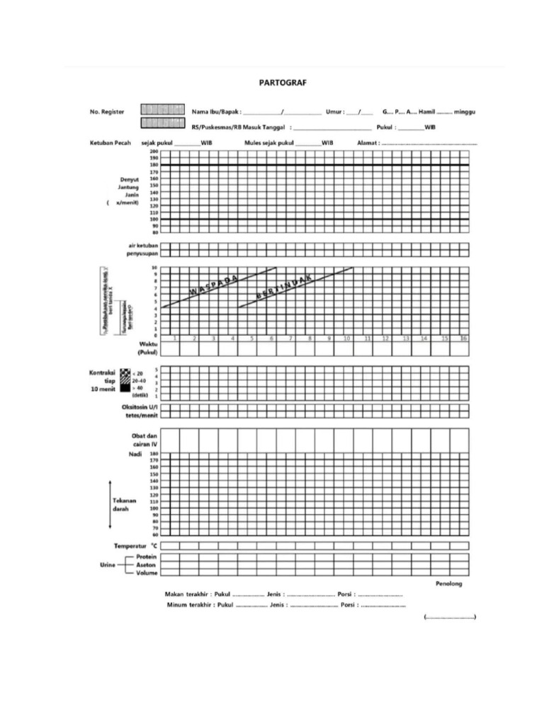 PARTOGRAF | PDF