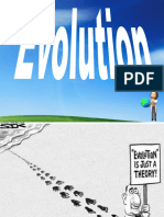 Evolution Notes - Fill in