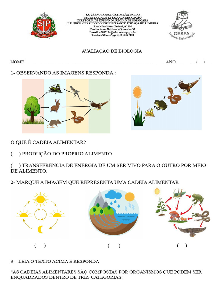 Avaliação sobre Cadeia Alimentar 4º Ano | PDF | Ciências e Matemática