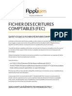 Fichier Des Ecritures Comptables (FEC)