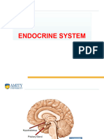 Endocrine System