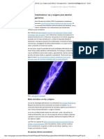 Terapia Fotodinámica - Luz y Oxígeno para Destruir Microorganismos - Robertoferrel2050@gmail - Com - Gmail