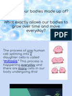 Exponential Function Lesson Slides