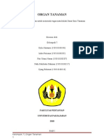 Download ORGAN TANAMAN by Fitri Utami Hasan SN71752959 doc pdf