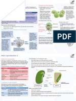 Sexual Reproduction in Plants