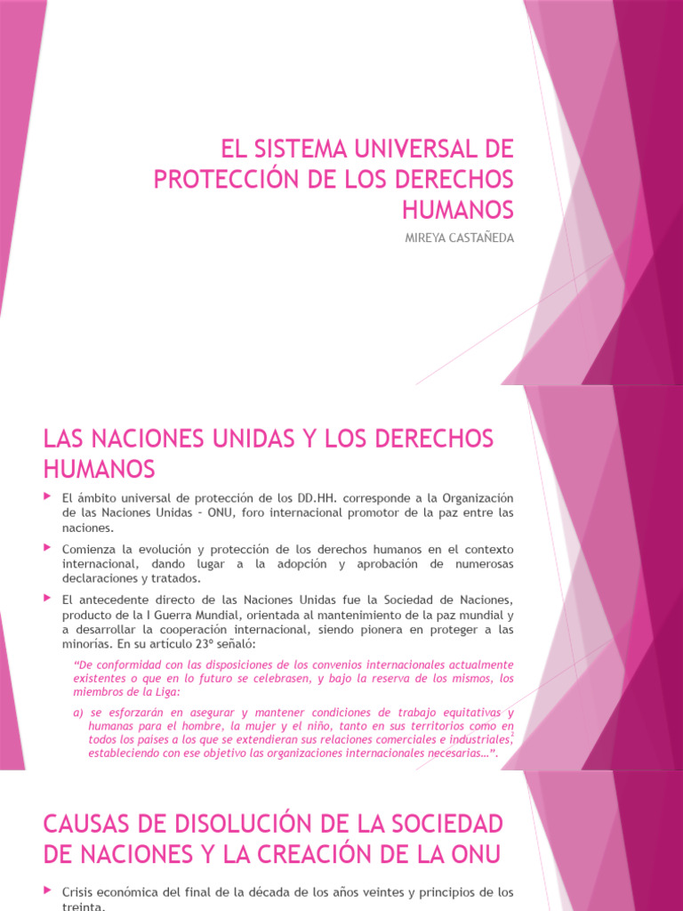 Normas Internacionales de Derechos Humanos | PDF | Naciones Unidas ...