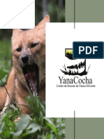 Programas Yana Cocha