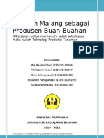 Malang Sebagai Wilayah Produsen Buah-buahan_pitty