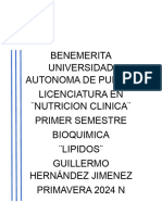 Benemerita Universidad Autonoma de Puebla
