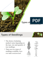 Types of Seedlings