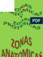 Zona Anatomica-Protesica