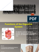 Presentation - Digestive System (1-9) With Audio
