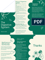 The Digestive System Brochure