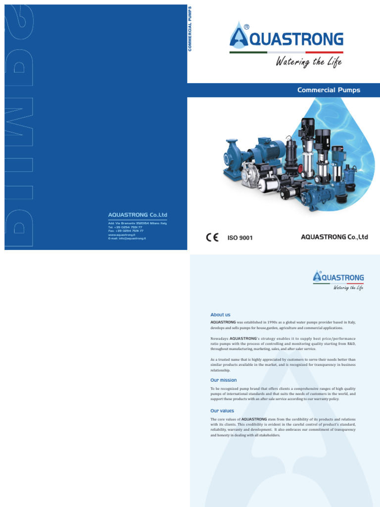 Aquastrong EVS EVR PDF Pump Pressure