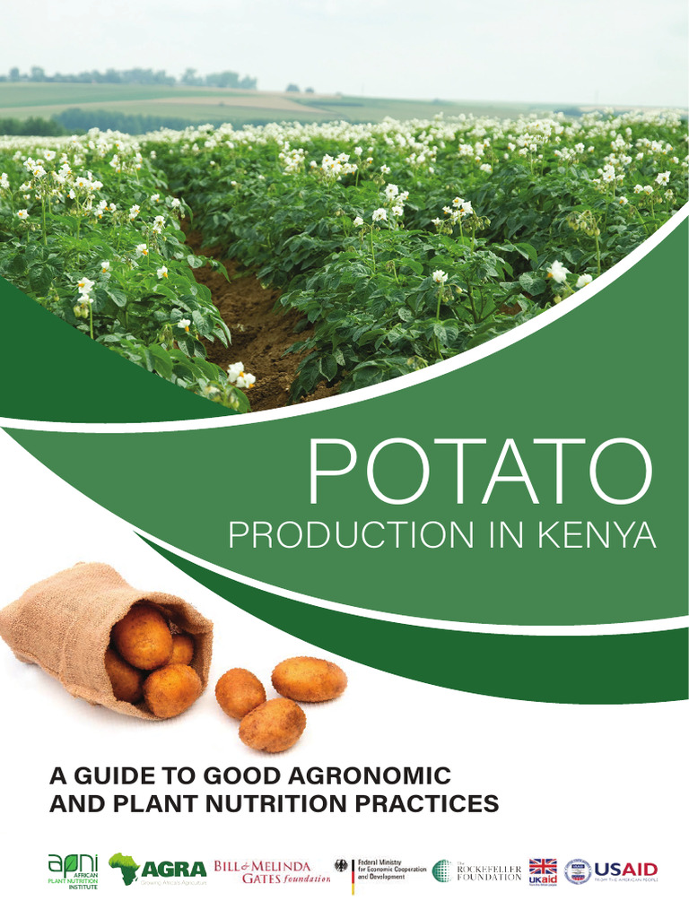 Kenya Potato Guide 0821 | PDF | Potato | Fertilizer