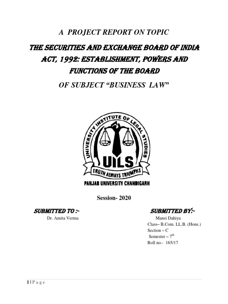 SEBI Project | PDF