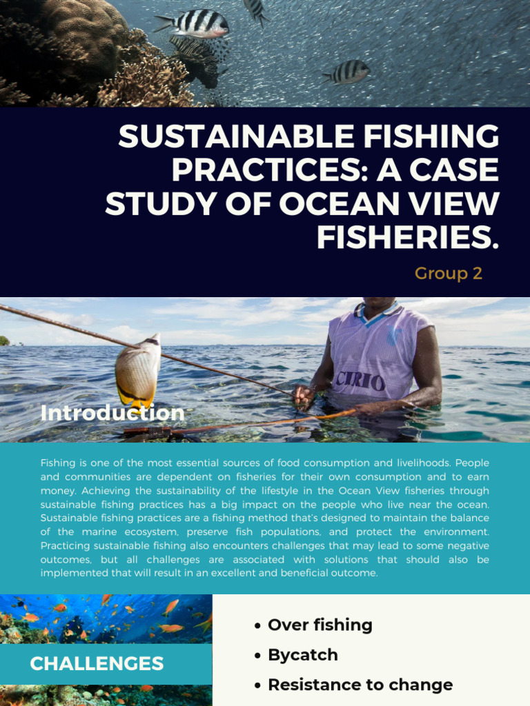 Sustainable Fishing Practices A Case Study of Ocean View Fisheries 