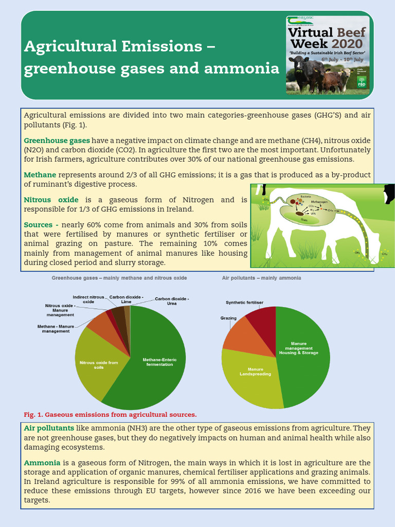 Agricultural Emissions - Greenhouse Gases and Ammonia Factsheet | PDF ...