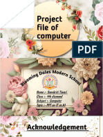 Computer Project File