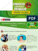Boletín 2024-47 - Unidos Contra El Dengue