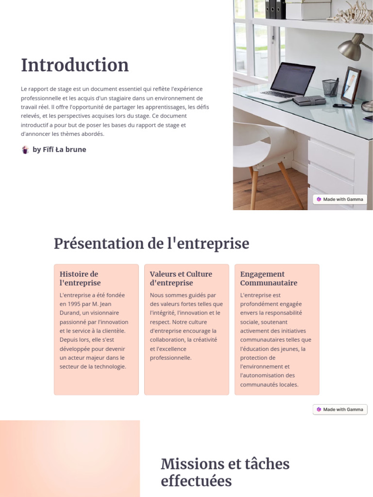 Introduction au Rapport de Stage | PDF | Business | Internet