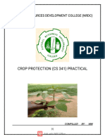 CS 341p Crop Protection