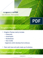 Kingdom Plantae