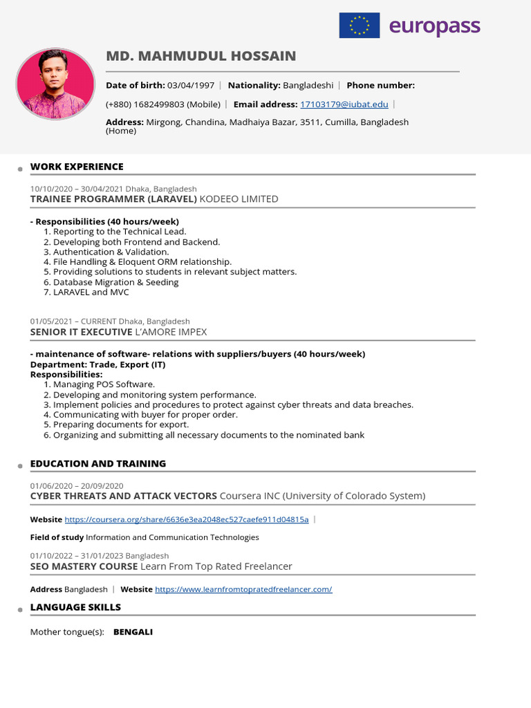 Europass CV Example for IT Professionals | PDF | Web Development | Websites