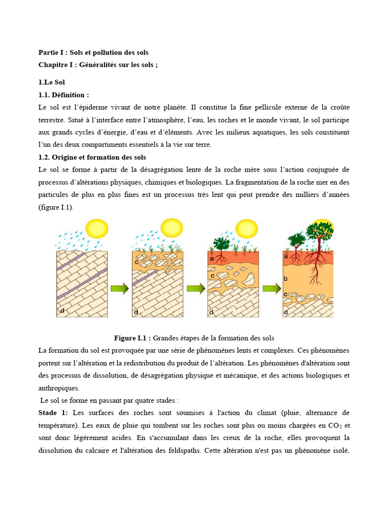 Drench de sol à prix réduit : Imidacloprid | PDF | Sol (pédologie) | la ...