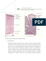 Histologi Uterus