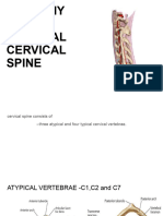 Anatomy of Subaxial Cervical Spine