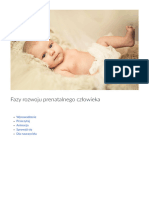 Fazy Rozwoju Prenatalnego Czlowieka