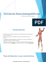 AULA 1 Estruturas Musculo Esqueleticas