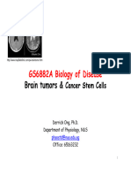 Brain Cancer Stem Cells